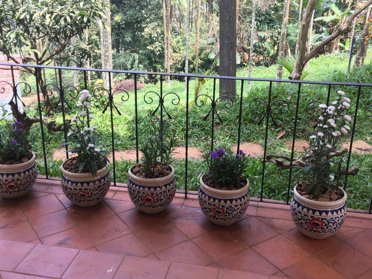Tea Terrace Vythiri Hotel Wayanad Eksteriør billede