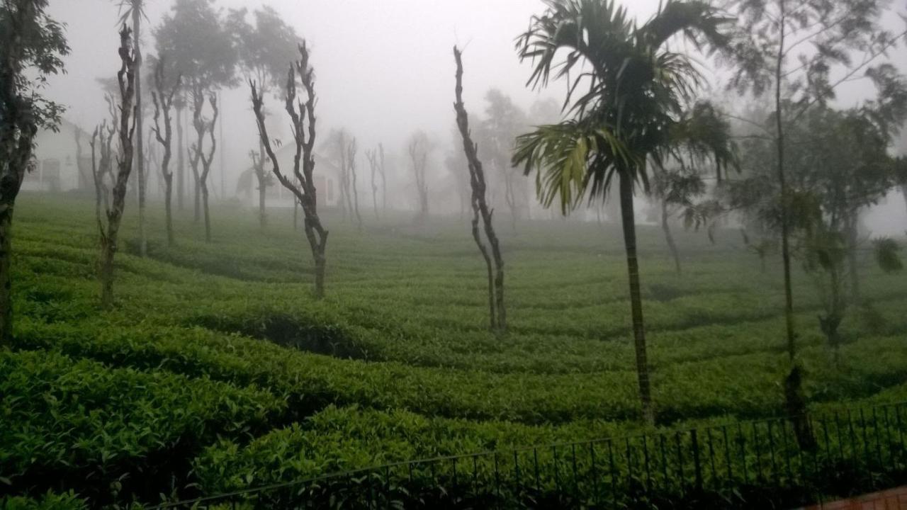 Tea Terrace Vythiri Hotel Wayanad Eksteriør billede