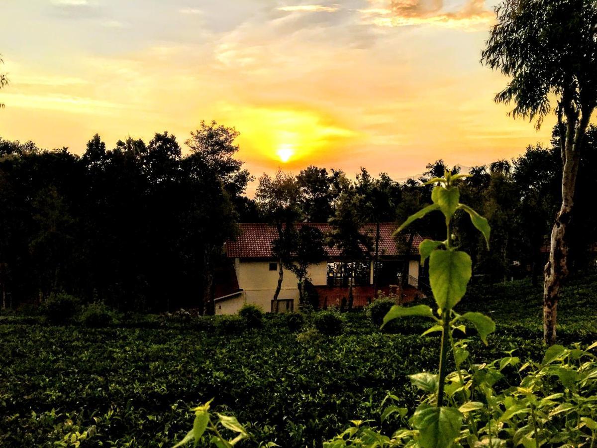Tea Terrace Vythiri Hotel Wayanad Eksteriør billede